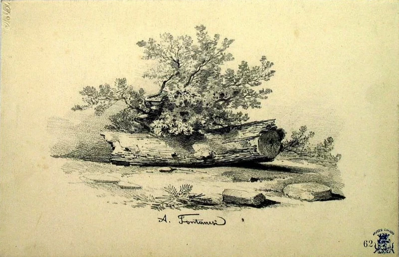 Studio con mezzo tronco d'albero e cespugli - Galleria Civica d’Arte Moderna e Contemporanea, Torinoo